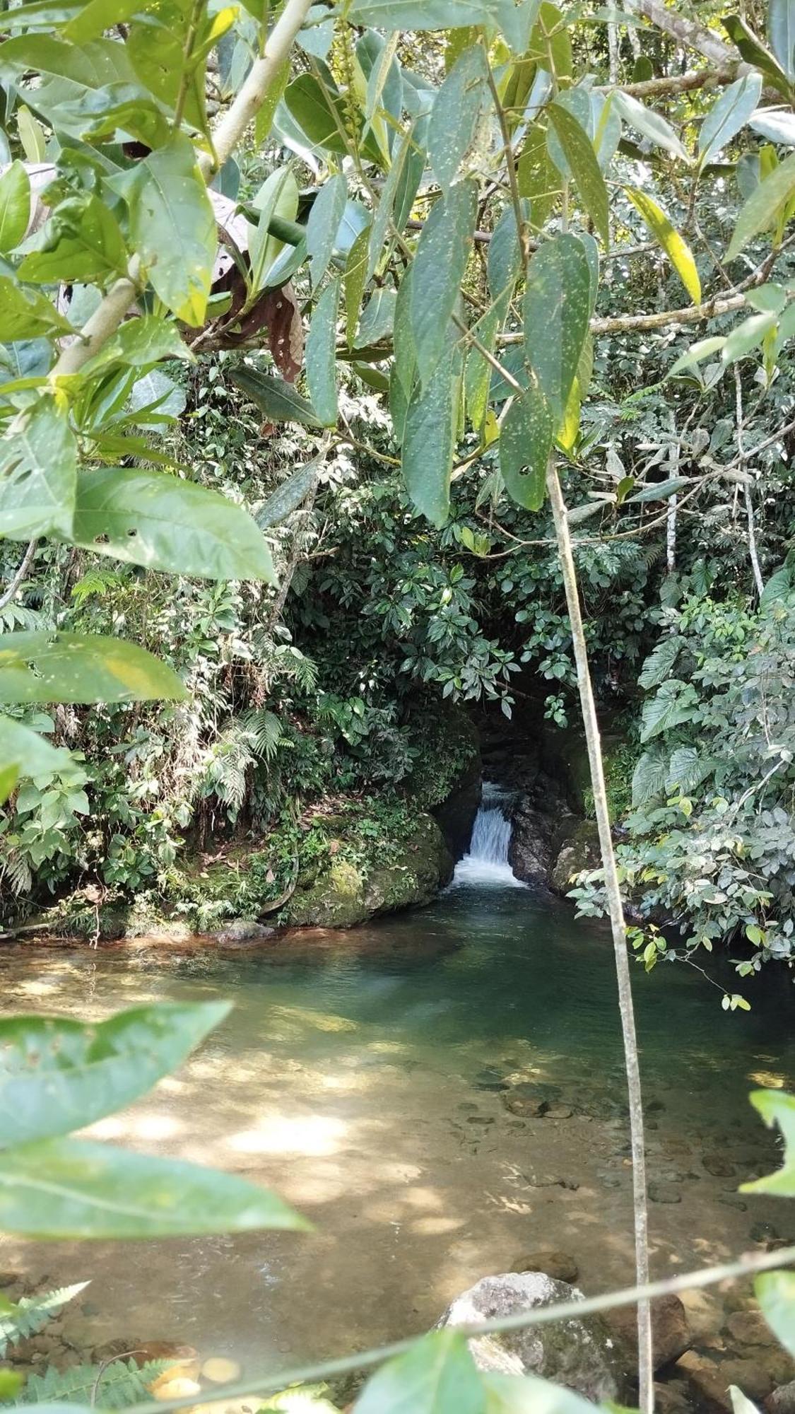 Alojamiento Natural La Cueva De Morgan San Rafael サン・ラファエル エクステリア 写真